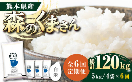 〈令和7年度産米〉 【全6回定期便】 森のくまさん 白米 20kg(5kg×4袋)【株式会社 農産ベストパートナー】 令和7年産 [ZBP123]