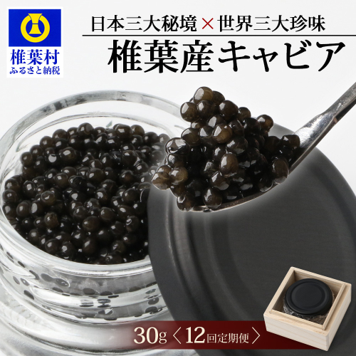 〈12回定期便〉【桐箱入り】 国産 キャビア 30g × 12回配送 計360g【世界三大珍味×日本三大秘境】 SZ-104_12teiki