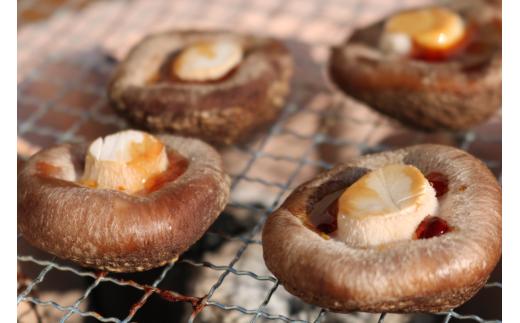 焼き椎茸にすると美味しさをより感じることができます。