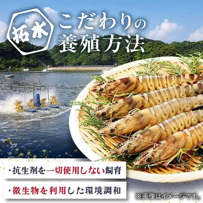 車海老みそ漬 計450g（車海老250g、味噌200g） / 佐賀県 / 株式会社 拓水伊万里クルマエビセンター [41AEAJ001]