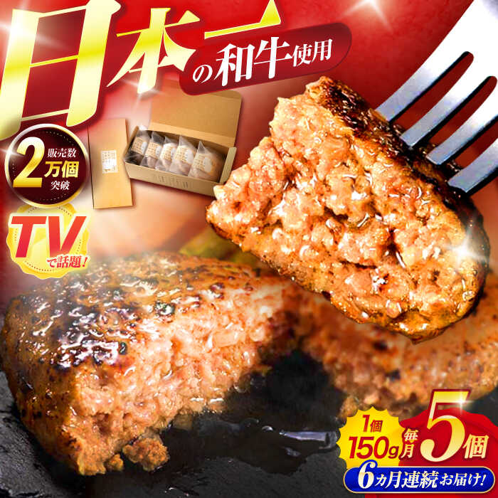 【ふるさと納税】【6回定期便】ながさきふわとろハンバーグ 150g×5個入 / ハンバーグ はんばーぐ 肉 牛肉 豚肉 おかず 惣菜 定期便 / 諫早市 / ワールド・ミート有限会社[AHBG007]