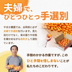 有田 みかん 小玉 5kg / 温州みかん 有田みかん 甘い 小粒 和歌山 柑橘 ※2026年12月上旬〜翌年1月上旬に順次発送 【ymk004-s-5】