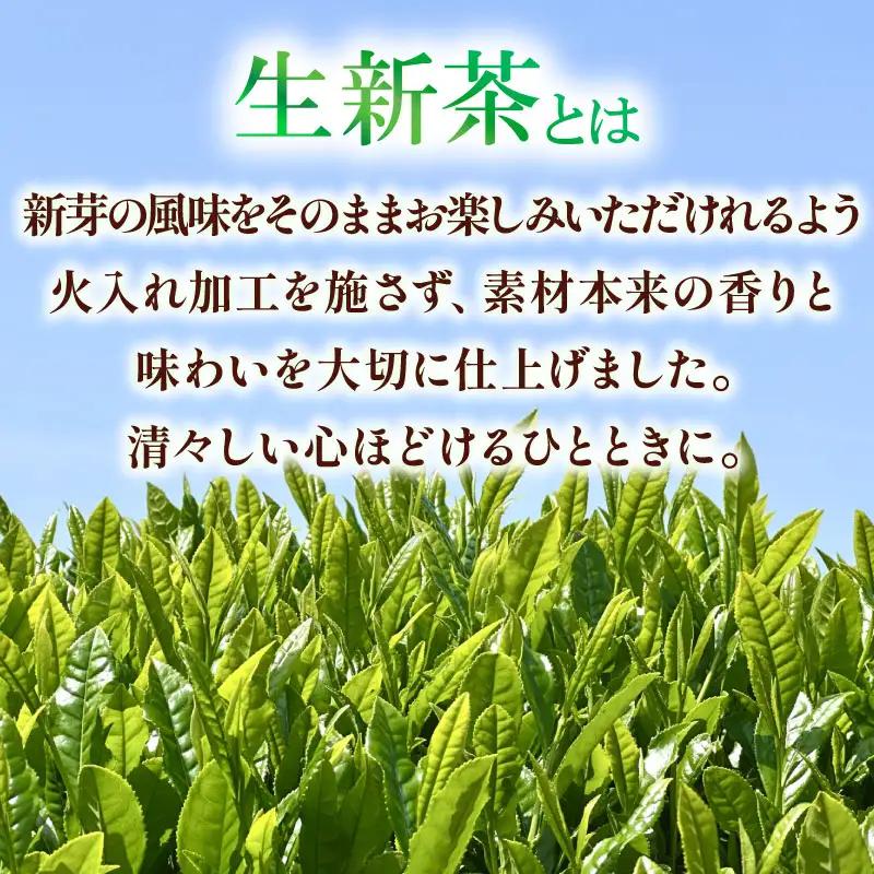 2026年度産 新茶 生新茶 70g×3袋 静岡 県 牧之原市 相良物産