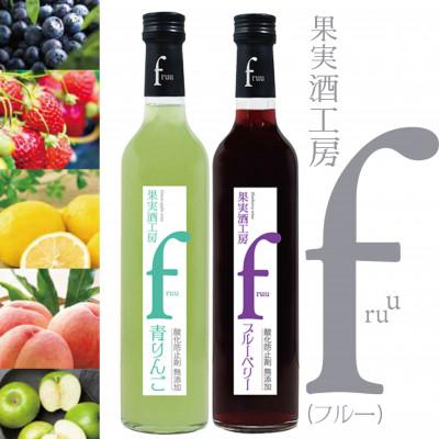 ふるさと納税 甲州市 シャトー勝沼 果実酒工房fruu 青りんご・ブルーベリー　2本セット　A07-658