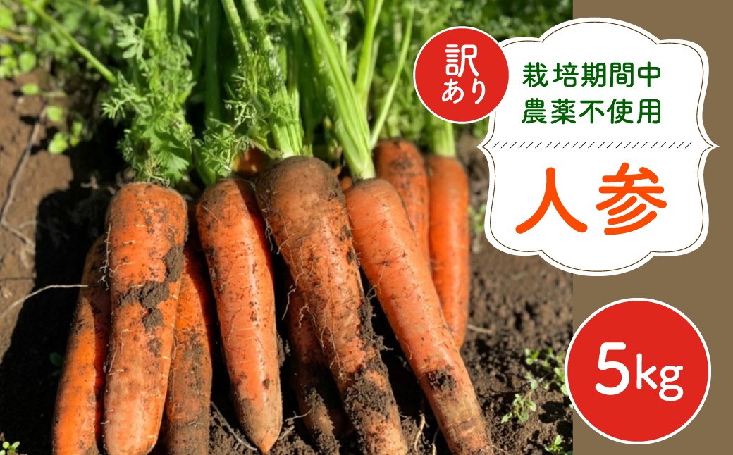 
                  【12月～2月発送】【栽培期間中農薬不使用】訳あり人参５㎏  AIBA FARM　Ｂ品 / 野菜 やさい にんじん 人参 ニンジン 名産 特産 甘い 美味しい 訳あり 不揃い B級 健康 ヘルシー フードロス AIBA FARM アイバファーム  千葉県 富里市 TML006
                