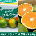 【ふるさと納税】福岡限定 オリジナルブランド みかん「早味かん」約4kg【配送不可：離島】　果物類・柑橘類・みかん・フルーツ　お届け：2024年9月中旬から下旬にかけて順次発送