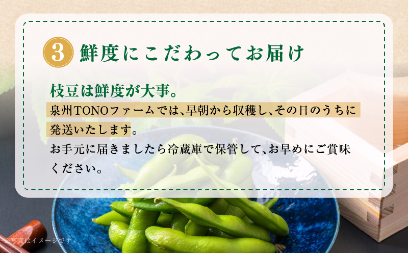 【畑から直送 朝採り】黒枝豆 3.6kg 【新鮮 野菜 泉佐野産 えだまめ やさい TONOファーム 高評価 数量限定 先行予約】