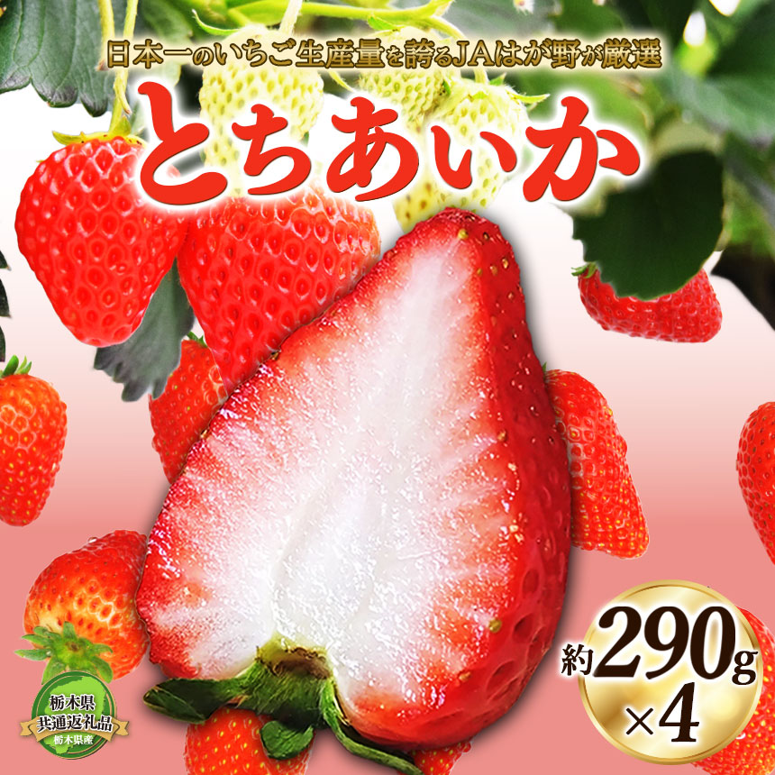 【2025年冬先行予約】日本一のいちご生産量を誇るJAはが野が厳選とちあいか 平パック4P | 送料無料 栃木県 下野市  先行予約 いちご フルーツ 甘い ジューシー かき氷