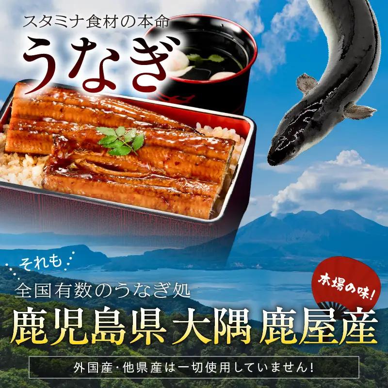  2121 鹿児島県産 うなぎ蒲焼 30尾 KN058-002-30 魚 冷凍 鰻