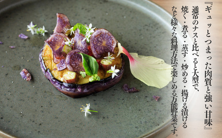【期間限定】先行予約 特選 丸なす！『越の丸茄子』9玉入り 特級Aクラス 1箱 JA ナス 2026年7月中旬から順次発送【新潟県 糸魚川市 期間限定 ブランド野菜 夏 ステーキ 煮物 まるなす マル