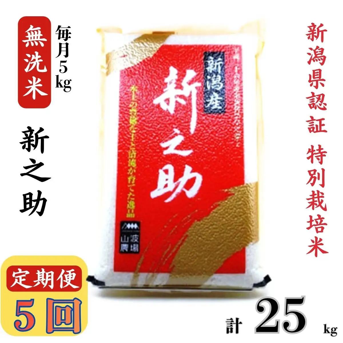 【令和8年産新米・5ヶ月定期便】真空パック 特別栽培米 新之助 無洗米 5kg×5回（計 25kg） 山波農場 お米 新潟県産 [Y0053]