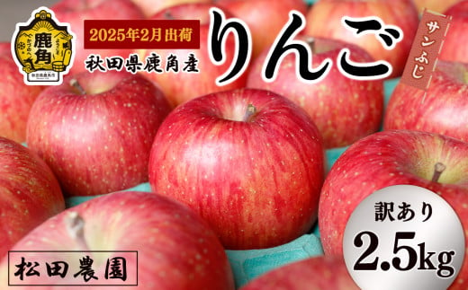 《先行予約》2月出荷【訳あり】りんご「サンふじ」家庭用 小玉 2.5kg【松田農園】農家直送 産地直送 こだわり りんご リンゴ 林檎 ふじ フジ 果物 くだもの フルーツ 秋田県 秋田 あきた 鹿角市 鹿角 かづの 2.5KG 2.5㎏●2025年2月発送開始　