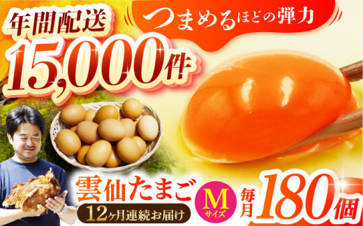 【全12回定期便】Mサイズ180個(170個＋割れ補償10個入り) 長崎県/塚ちゃん雲仙たまご村 [42ACAE031] 卵 玉子 タマゴ 鶏卵 長崎 島原 九州 12ヶ月 12か月