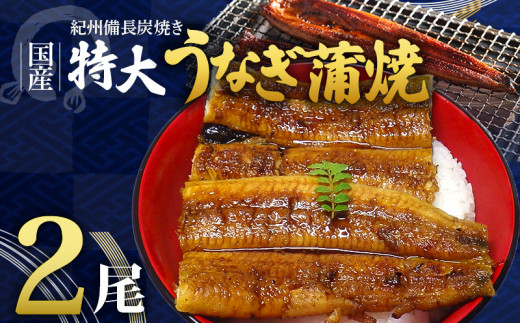 
R6102_紀州備長炭焼き 特大 うなぎ 蒲焼き (国産)
