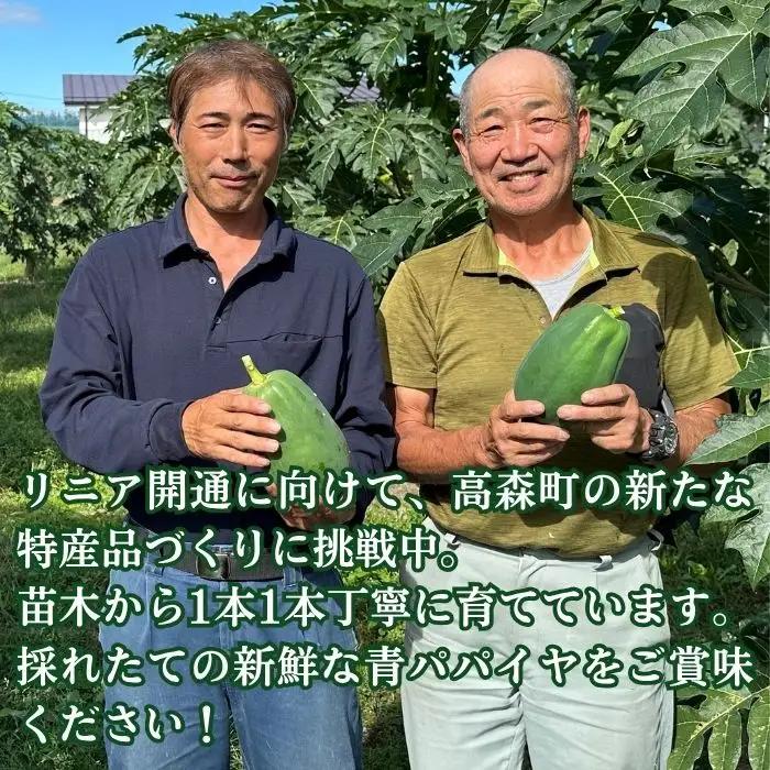 南信州高森産 青パパイヤ 1kg