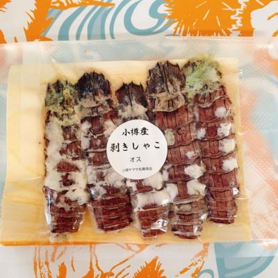 ふるさと納税 小樽市 小樽産　剥きシャコオス20本　剥きシャコメス20本 |  | 01