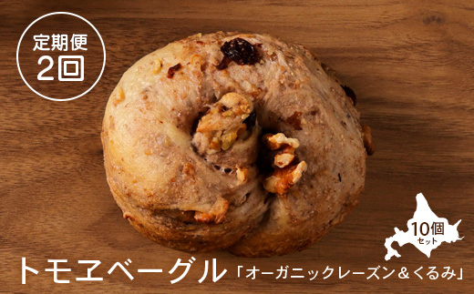 【定期便：全2回】トモヱベーグル 「オーガニックレーズン＆くるみ」１０個セット【33000901】