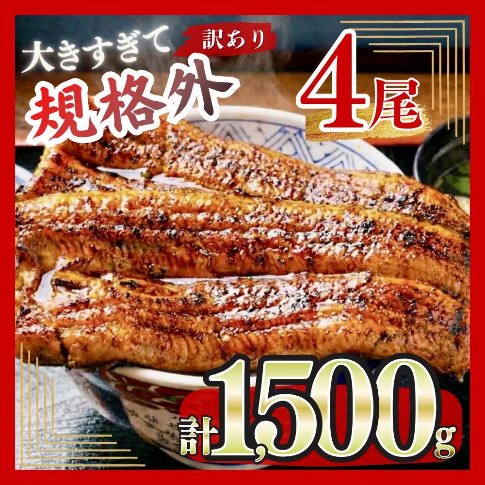 【うなぎ】 訳あり 特大 4尾 1.5kg うなぎ 鰻 