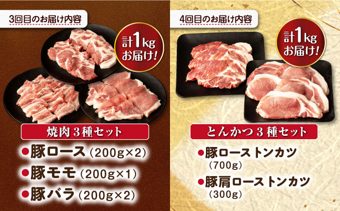 【4回定期便】ナルちゃんファーム豚肉 しゃぶしゃぶ×スライス×焼肉×とんかつセット 毎月1kg / 豚肉 しゃぶしゃぶ スライス 焼肉 とんかつ / 大村市 / おおむら夢ファームシュシュ [ACAA