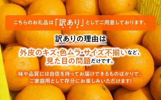 【先行受付】愛媛オリジナルの高級柑橘『甘平（かんぺい）』　3ｋｇを可愛いいみきゃん箱でお届け！！【103-5】 果物 くだもの 甘平 かんぺい みかん ミカン 蜜柑 柑橘 フルーツ  期間限定 季節限