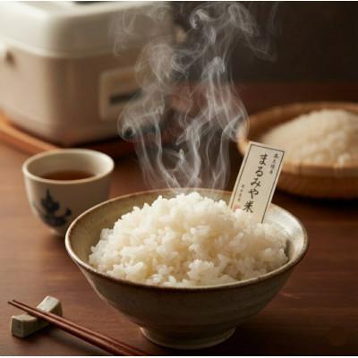 ふるさと納税 武豊町 令和7年産新米　あいちのかおり　精米5kg　発送直前に精米いたします