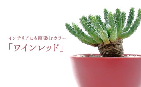 【美濃焼】ワインレッド Plant Hunter Pot【RYOTA AOKI POTTERY/青木良太】/ 陶芸家 プランター インテリア 雑貨 植木鉢 レッド 赤 芸術 美術品 高級感 おしゃれ 
