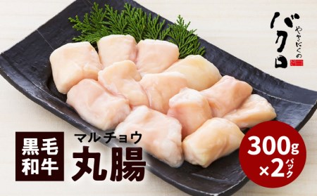 黒毛和牛 丸腸 （ ホルモン ）300g 入り × 2パック K130-001 人気黒毛和牛 大人気黒毛和牛 黒毛和牛丸腸 人気黒毛和牛丸腸 大人気黒毛和牛丸腸 人気丸腸 大人気丸腸 人気ホルモン 和牛 牛 牛肉 ホルモン焼肉 焼肉 バーベキュー BBQ 黒毛和牛丸腸セット ホルモンセット セット 黒毛和牛丸腸詰め合せ 詰め合せ 贈り物 ギフト おすすめ 人気 大人気