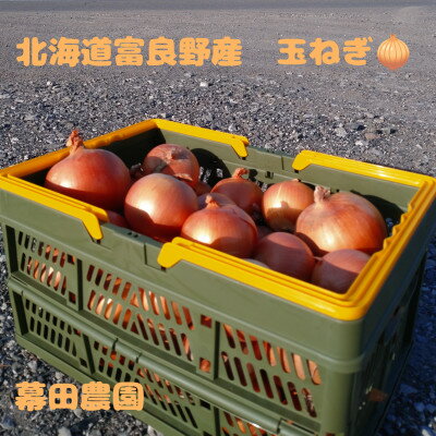 【ふるさと納税】【2025年10月以降発送】北海道　富良野産　玉ねぎ　約20kg【1501771】