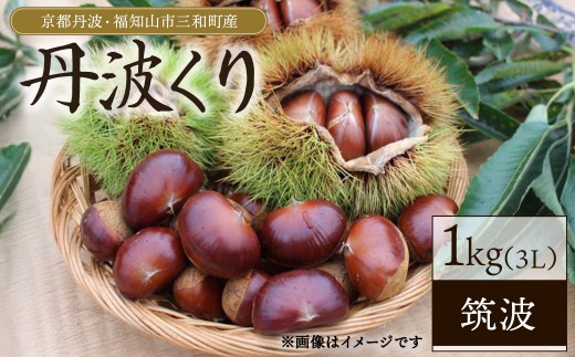 ＜2026年10月上旬以降順次発送予定＞京都丹波・福知山市三和町産 丹波くり 1kg (筑波 3L) 【fc-FB002】【丹波かなまろんふぁーむ】