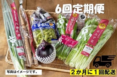 ＜6回　定期便＞【JA全農京都】２か月に１回配送！季節の京野菜セット 261009_B-EV05