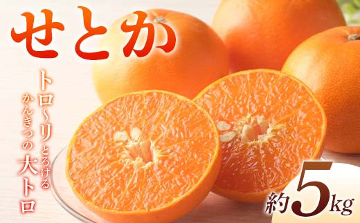 
                  【先行予約】《2027年2月上旬～3月中旬頃お届け》 みかん せとか 約5kg トロ～リとろけるかんきつの大トロ 柑橘 完熟 みかん ミカン 果物 フルーツ くだもの 国産 せとか フルーツ 旬 果物 香川県三豊市共通返礼品  F5J-538
                