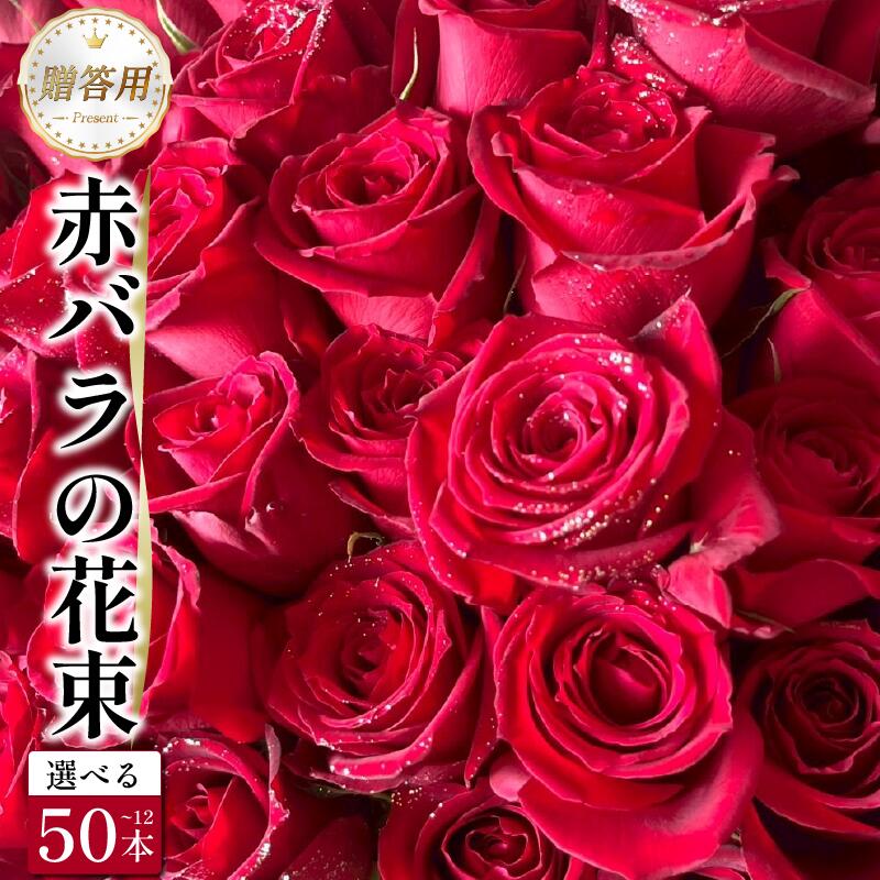 【ふるさと納税】 生花 赤バラ の 花束 12本 50本 バラ 薔薇 花束 ローズ フラワー ブーケ プレゼント 贈り物 ギフト 生け花 雑貨 インテリア 人気 記念日 誕生日 フラワーガーデン ミモザ 花 徳島県 小松島