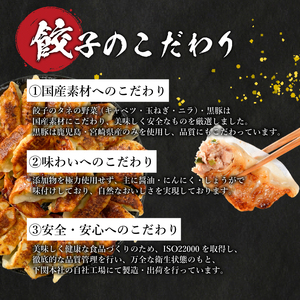 【餃子】 訳あり 黒豚餃子[180個] 定期便3回 