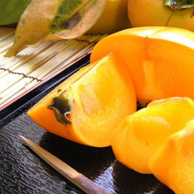 ふるさと納税 広川町 たねなし柿M~2Lサイズ　40~32個詰7.5kg入箱