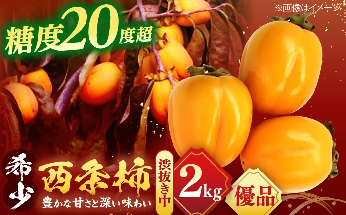 
                  【先行予約】【20個限定】【訳あり】柿 とろ〜り甘さの極み！合わせ柿 2kg(8玉〜12玉) 島根県松江市/マルカミ農縁株式会社 [ALCM014]｜柿 訳あり 西条柿 合わせ柿 大容量 デザート セット 島根 松江 おすすめ 人気 お取り寄せ 送料無料 かき カキ フルーツ 果物 くだもの 国産 甘い おいしい 甘い スイーツ おやつ 
                