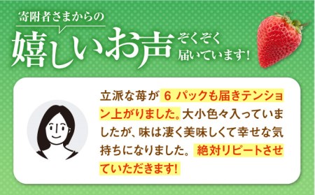 【先行予約】産地直送！旬のいちごをお届け！ 白石産 いちごさん 約150g×6パック（計900g以上）  /甘〜いいちご 大容量パックいちご イチゴ 苺  佐賀県産いちご ブランドいちご うつくしい色