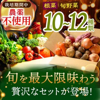 ふるさと納税 大洲市 あったら嬉しい根菜セット♪+おまかせ旬野菜 [AGBX012] |  | 01