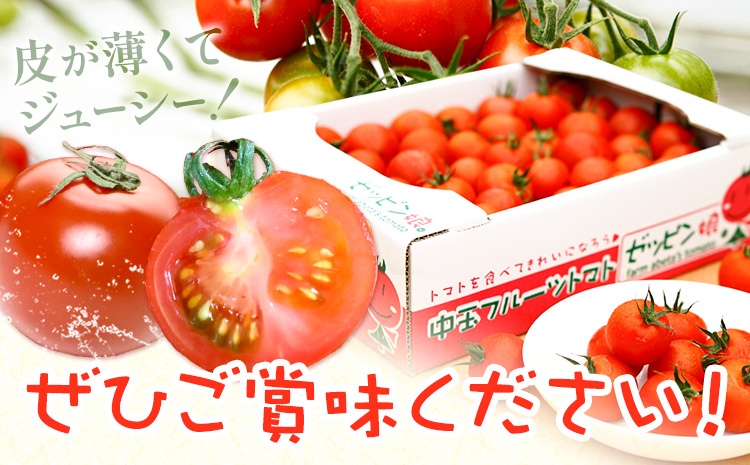 中玉フルーツトマト ゼッピン娘 1.8kg ×2箱 計3.6kg 希少な品種 華おとめ 甘い 野菜 結城市産 ゼッピン娘 華おとめ 中玉品種 皮が薄い 薄皮 サラダ 前菜 食材 料理《10月中旬～5月