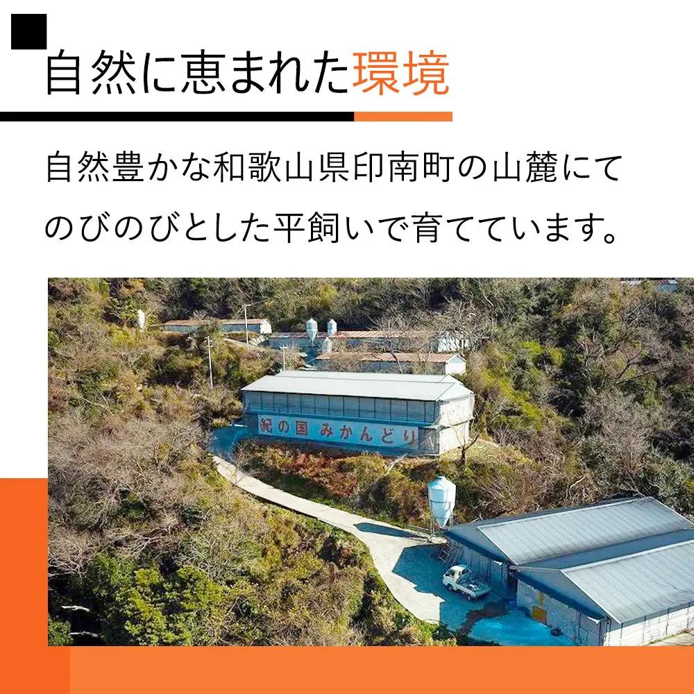 鍋 紀の国みかんどり　鶏水炊きセット