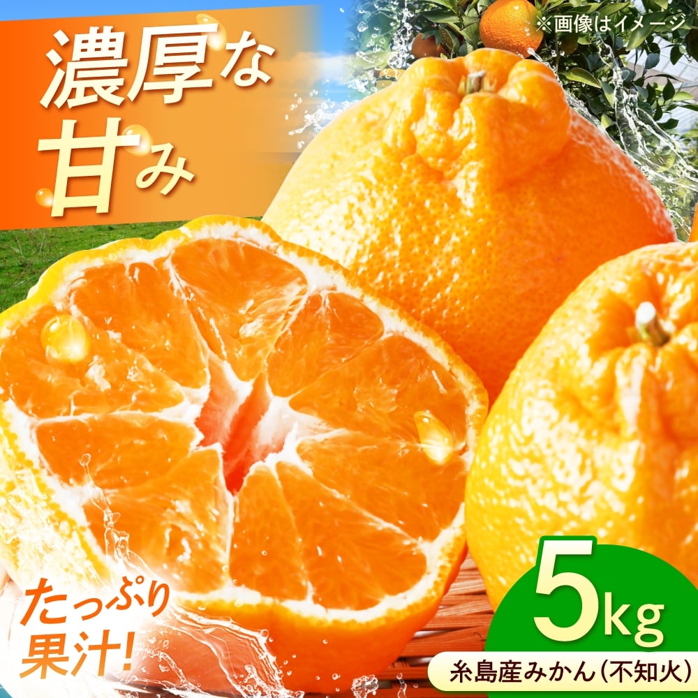 
                  糸島産 不知火（みかん） Mサイズ 5kg 糸島市 / 柴田青果園 ミカン しらぬい 5キロ [ANQ001]
                