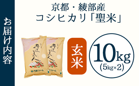 「丹波美人」 玄米 10kg（5kg×2） | 米 お米 こしひかり 玄米