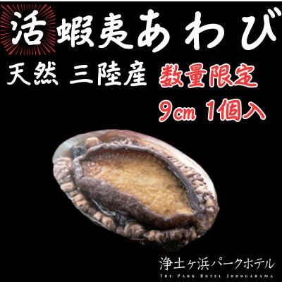 【先行予約(12月発送)】岩手県より獲れたて鮮魚直送便 【活蝦夷アワビ150g×1個】【配送不可地域：離島・沖縄県・九州】