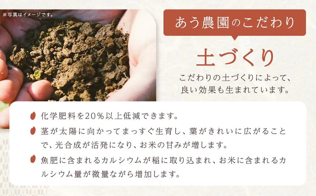 【令和7年産】ひめの凜プレミアム 5kg 米 お米 白米 ご飯 ごはん 飯 愛媛県 【えひめの町（超）推し！（鬼北町）】（389-2）