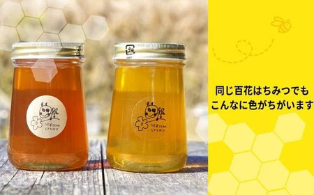 岐阜県上石津産・河本さんちのはちみつ(それぞれ異なる種類の百花はちみつ)500g×2本