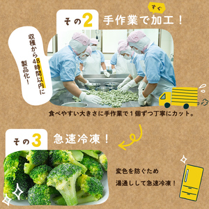 【全3回】鹿児島県産 冷凍ブロッコリー ＜計2.4kg＞(200g×4袋×3ヶ月) t0024-005