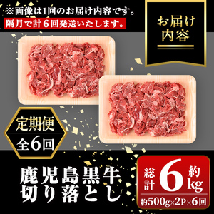 【E01011】＜定期便・全6回・隔月＞鹿児島黒牛 切り落とし(計約6kg・約500g×2P×6回) 鹿児島 国産 九州産 鹿児島県産 黒毛和牛 国産牛 牛肉 切り落し 切落とし 切落し お肉 冷凍 