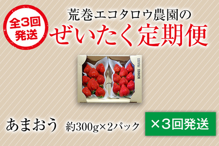 荒巻エコタロウ農園のぜいたく定期便（あまおう約300g×3回）【2026年2月〜3月】　BJ08