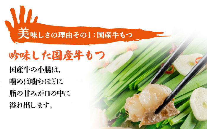 【全3回定期便】九州名物 とめ手羽 博多 もつ鍋 セット 九州しょうゆ味 5-6人前＜株式会社フェリックス＞那珂川市 [GCE014]