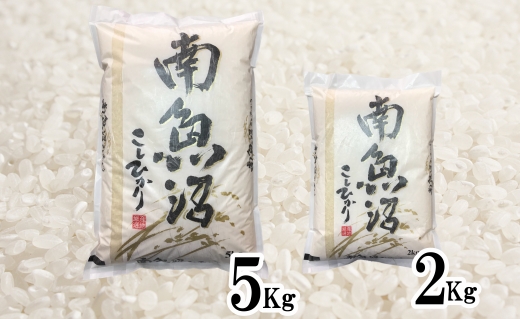 【定期便】生産者限定 契約栽培　南魚沼しおざわ産コシヒカリ（5Kg×6ヶ月）