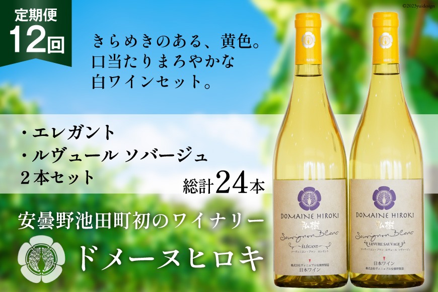 白ワイン セット エレガント & ルヴュールソバージュ 各750ml 計2本 12回 総計24本 [ヴィニョブル安曇野 長野県 池田町 48110358] ワイン 白 白ワインセット ワインセット 飲み比べ